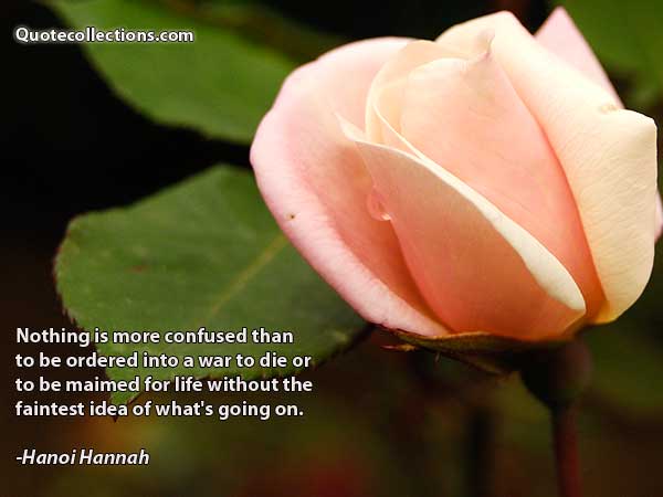 Hanoi Hannah Quotes4